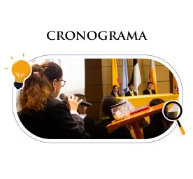 Cronograma